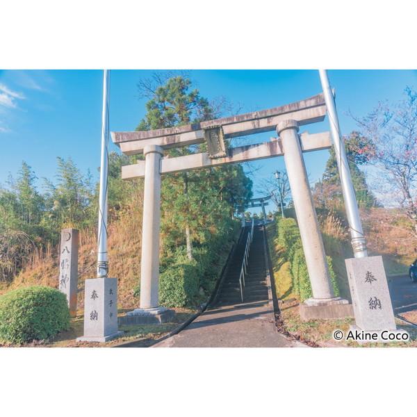 ケンコー・トキナー 特殊効果用フィルター 「NOSTALTONE（ノスタルトーン）」  ブルー | ケンコー・トキナー | 02