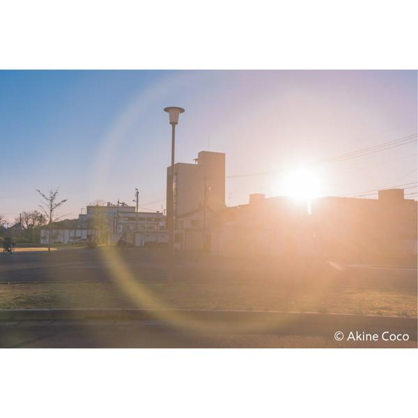 ケンコー・トキナー 特殊効果用フィルター 「NOSTALTONE（ノスタルトーン）」  ブルー | ケンコー・トキナー | 03