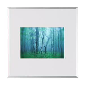 KenkoTokina(ケンコー・トキナー) ギャラリー 2Lスクエア シルバー AGY-2LSQ-SV AGY-2LSQ-SV | 