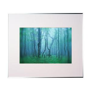 KenkoTokina(ケンコー・トキナー) ギャラリー A3 シルバー AGY-A3-SV AGY-A3-SV | 