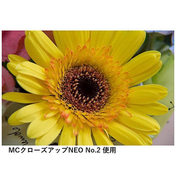 KenkoTokina(ケンコー・トキナー) 58mm MCクローズアップレンズ NEO NO2 |  | 04
