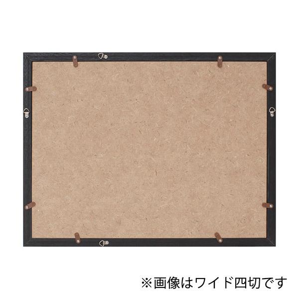 ケンコー・トキナー コスモス A4 ブラック   MCM-A4-BK [振込不可] | ケンコー・トキナー | 02