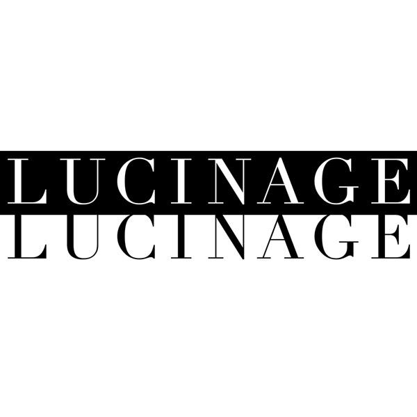 ケンコー・トキナー LUCINAGE（ルキナージュ） カメラレンズクリーナー スプレータイプ   100ml   KCA-LGCR | ケンコー・トキナー | 05