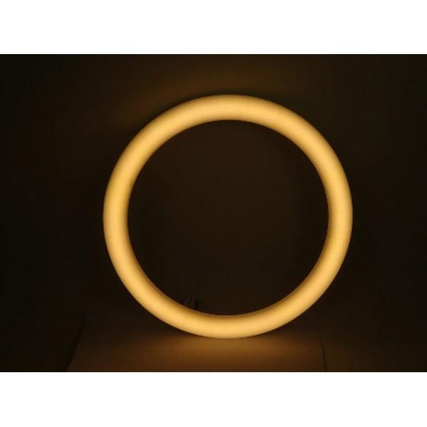 東京メタル LEDサークライン　AL-CT-14WL-TM　電球色 AL-CT-14WL-TM [電球色] |  | 01