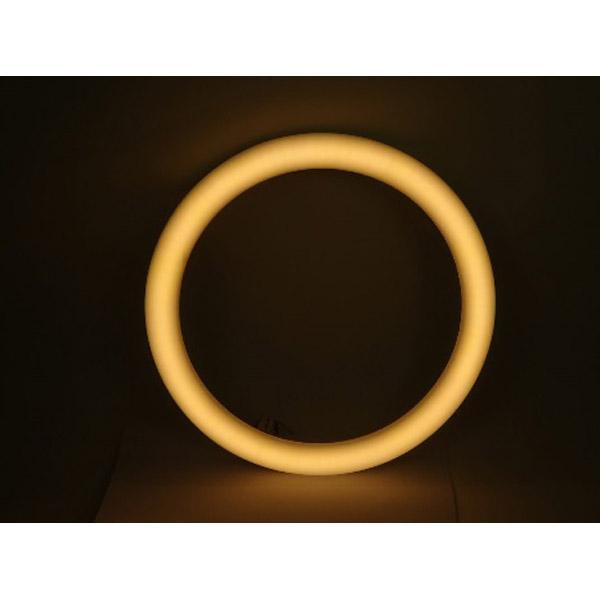 東京メタル 【直結工事必要】丸形LED   AL-CT-18WL-TM ［G10q /32形 /電球色］ |  | 02