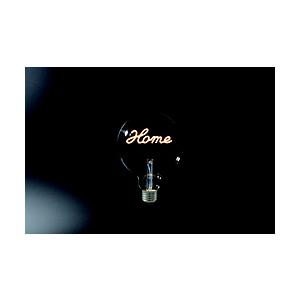 東京メタル インテリアLED電球　HOME　E26   LDG4HOME-TM ［電球色］ | 