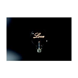 東京メタル インテリアLED電球　LOVE　E26   LDG4LOVE-TM ［E26 /電球色］ | 