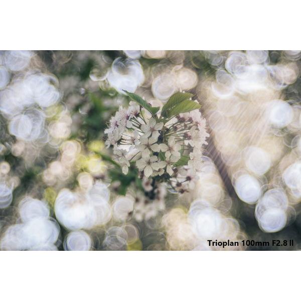 メイヤーオプティックゴルリッツ カメラレンズ Trioplan 100mm F2.8 II【マイクロフォーサーズマウント】 [代引不可] |  | 02