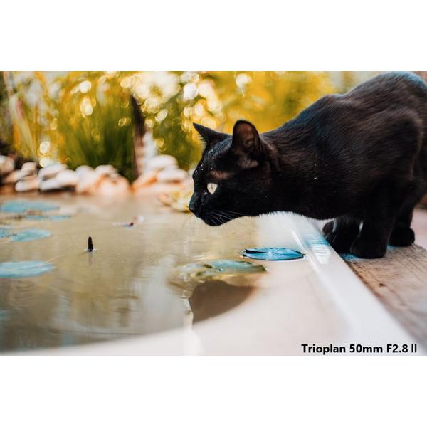 【最終値下げ】 メイヤーオプティックゴルリッツ カメラレンズ Trioplan 50mm F2.8 II【マイクロフォーサーズマウント】 【LWH1801891012】(65679円)