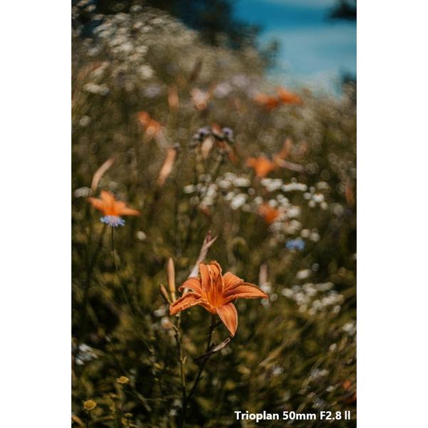 【最終値下げ】 メイヤーオプティックゴルリッツ カメラレンズ Trioplan 50mm F2.8 II【マイクロフォーサーズマウント】 【LWH1801891012】(65679円)