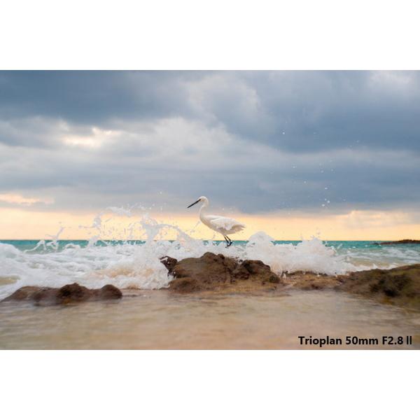 メイヤーオプティックゴルリッツ カメラレンズ Trioplan 50mm F2.8 II【ペンタックスKマウント】 [代引不可] |  | 01