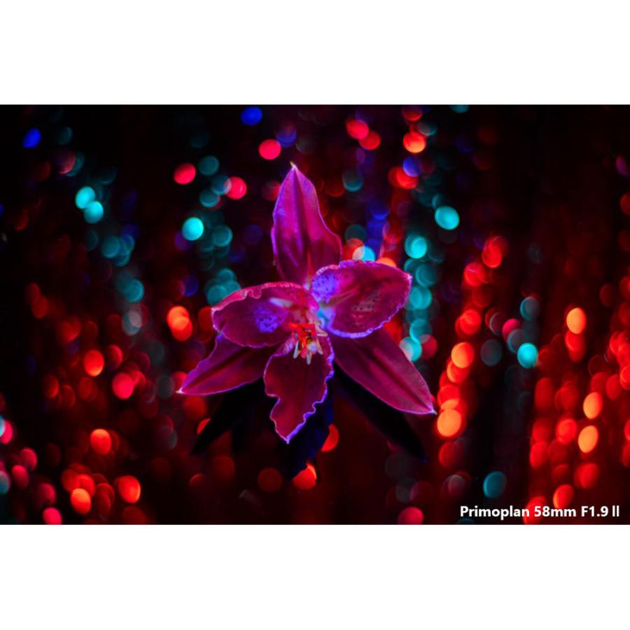 メイヤーオプティックゴルリッツ カメラレンズ Primoplan 58mm F1.9 II 