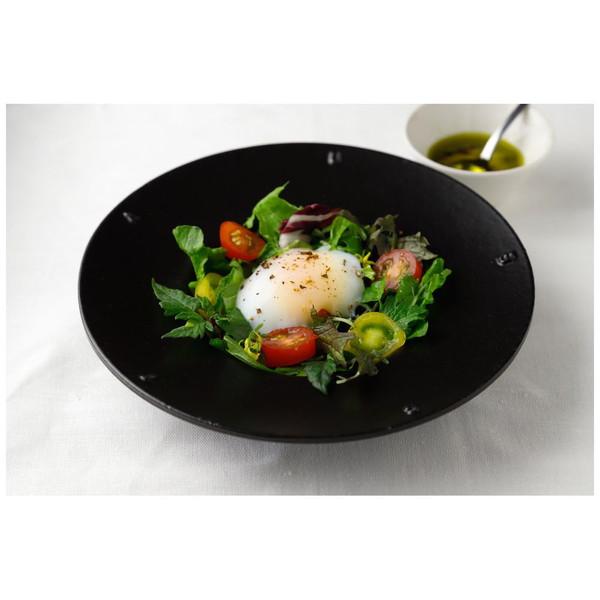 富士商 低温調理器 Sous vide cooking F20403 |  | 08