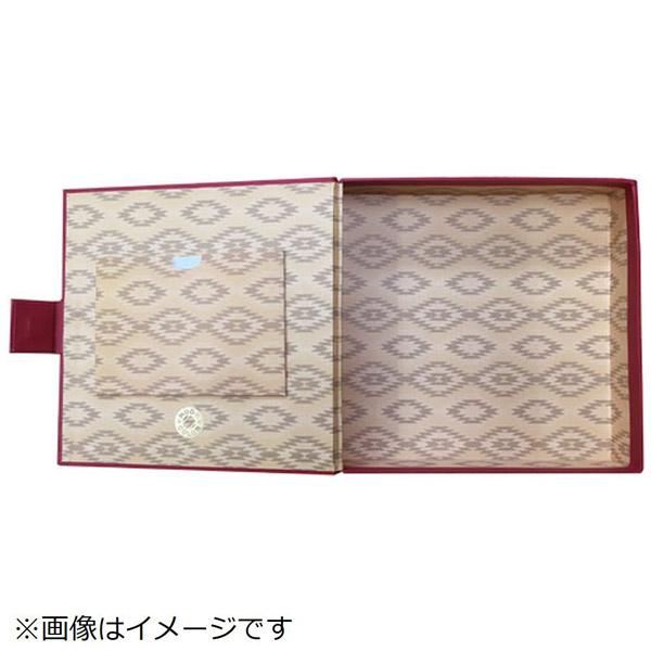 セキセイ HOOK COLOR（ホックカラー） ボックス HK-5785 レッド 【852】 | セキセイ | 02