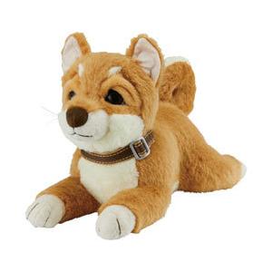 イワヤ おはようで始める なごみケーションわんこ（柴犬） [振込不可] | 