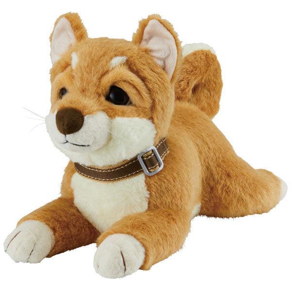 イワヤ おはようで始める なごみケーションわんこ（柴犬） [振込不可] |  | 01