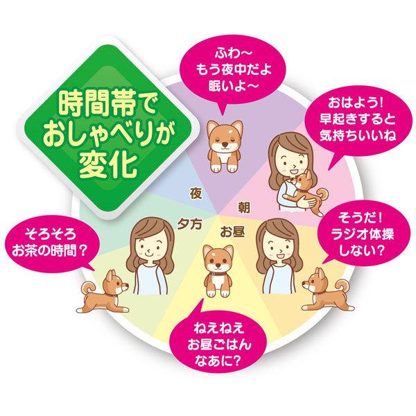 イワヤ おはようで始める なごみケーションわんこ（柴犬） [振込不可] |  | 04