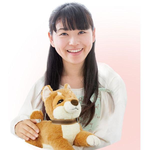 イワヤ おはようで始める なごみケーションわんこ（柴犬） [振込不可] |  | 05