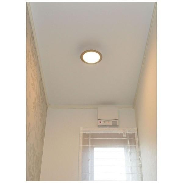 スワン電器 LED小型シーリング CE1004NA [振込不可] |  | 02