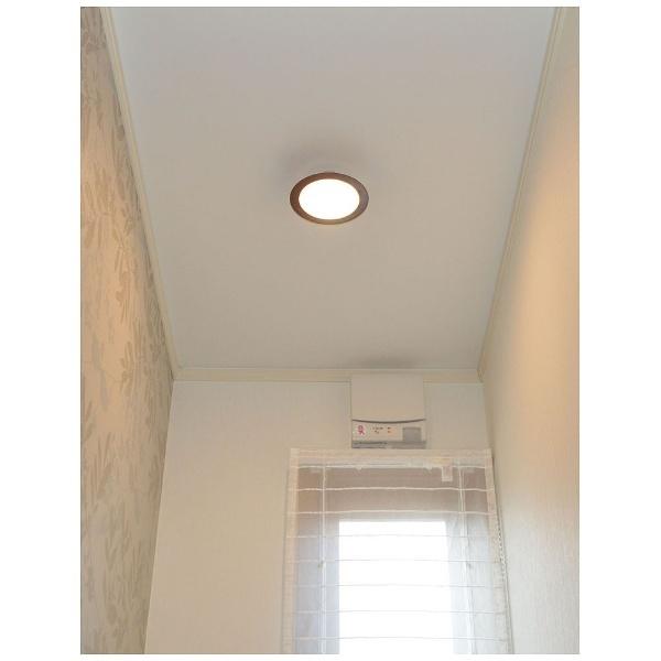 スワン電器 LED小型シーリング CE1004BR 【864】 [振込不可] | スワン電器 | 01