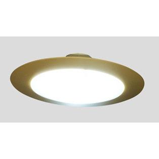 スワン電器 LED小型シーリング [昼光色] | スワン電器 | 01