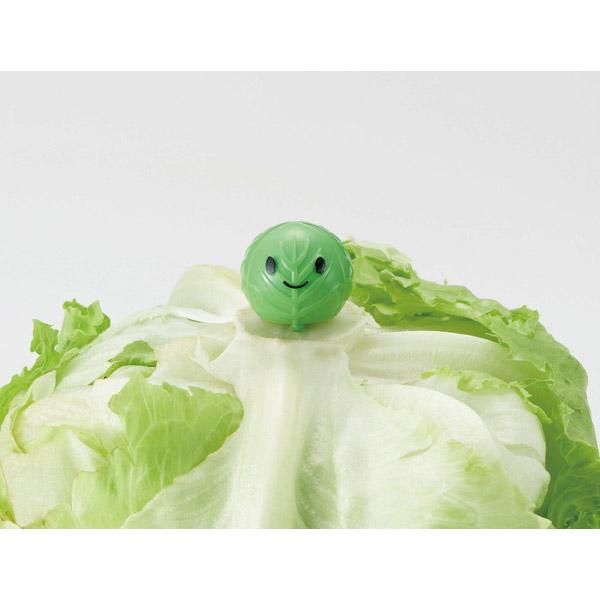 コジット ベジシャキちゃん [振込不可] | COGIT | 03