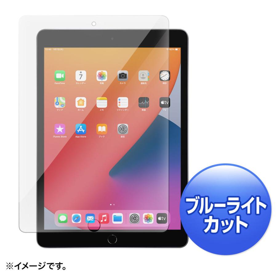 SANWA SUPPLY(サンワサプライ) 10.2インチ iPad（第8/7世代）用 ブルーライトカット強化ガラスフィルム   LCD-IPAD102GBC | SANWA SUPPLY | 01