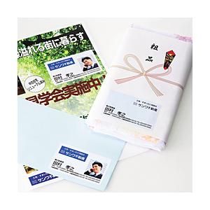 SANWA SUPPLY(サンワサプライ) マルチラベル(名刺サイズ)　LBEM09N | SANWA SUPPLY