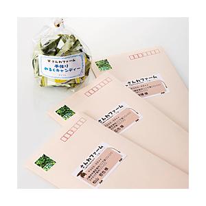 SANWA SUPPLY(サンワサプライ) マルチラベル(18面)　LBEM13N 【864】 [振込不可] | SANWA SUPPLY