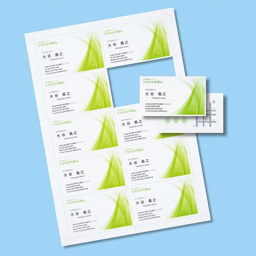 SANWA SUPPLY(サンワサプライ) インクジェット名刺カード・超特厚 JP-MC12N [振込不可] | SANWA SUPPLY | 02