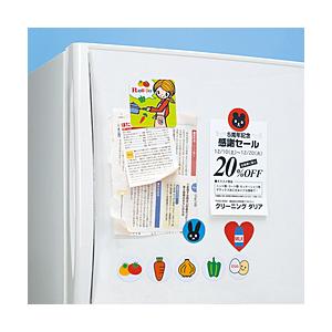 SANWA SUPPLY(サンワサプライ) 〔インクジェット〕手作りマグネットペーパー [A4 /2シート]  JP-MAGP3N 【852】 | SANWA SUPPLY