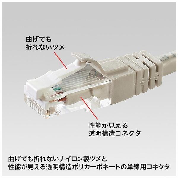 SANWA SUPPLY(サンワサプライ) ADT6RJTS10　ツメ折れ防止カテゴリ6RJ-45コネクタ | SANWA SUPPLY | 02