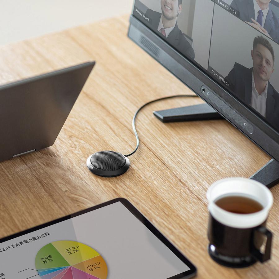 SANWA SUPPLY(サンワサプライ) MM-MCF02BK PCマイク   ［φ3.5mmミニプラグ］ | SANWA SUPPLY | 03