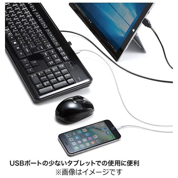 SANWA SUPPLY(サンワサプライ) SKB-SL21UHBK(ブラック)  USBハブ付キーボード | SANWA SUPPLY | 04