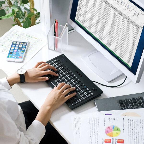 SANWA SUPPLY(サンワサプライ) 有線キーボード［USB 1.5m・Win・日本語89キー］トラックボール内蔵 SKB-TR03BK | SANWA SUPPLY | 02