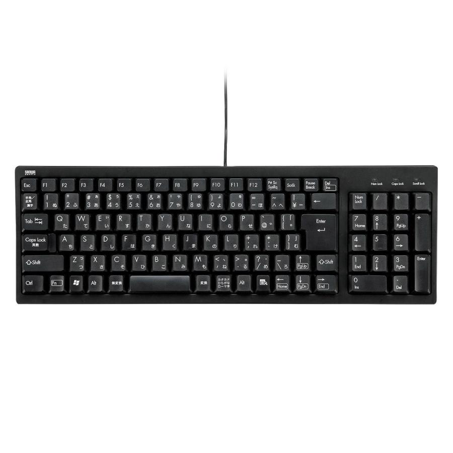 SANWA SUPPLY(サンワサプライ) キーボード (Nintendo Switch、Windows11対応) ブラック SKB-KG2BKN2 ［有線 /PS/2・USB］ | SANWA SUPPLY | 07