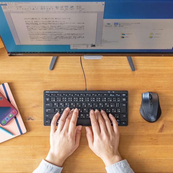 SANWA SUPPLY(サンワサプライ) キーボード 抗菌(Windows11対応/Mac)  SKB-SL36BK ［有線 /USB］ | SANWA SUPPLY | 01