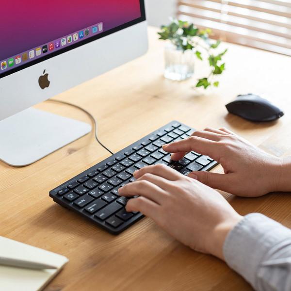 SANWA SUPPLY(サンワサプライ) キーボード 抗菌(Windows11対応/Mac)  SKB-SL36BK ［有線 /USB］ | SANWA SUPPLY | 07