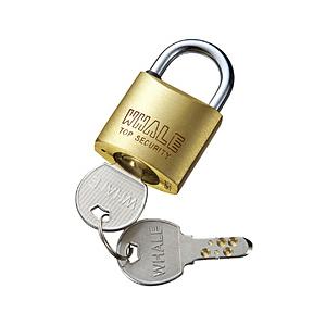 SANWA SUPPLY(サンワサプライ) eセキュリティ(ディンプルキー)   SLE-8LN | SANWA SUPPLY