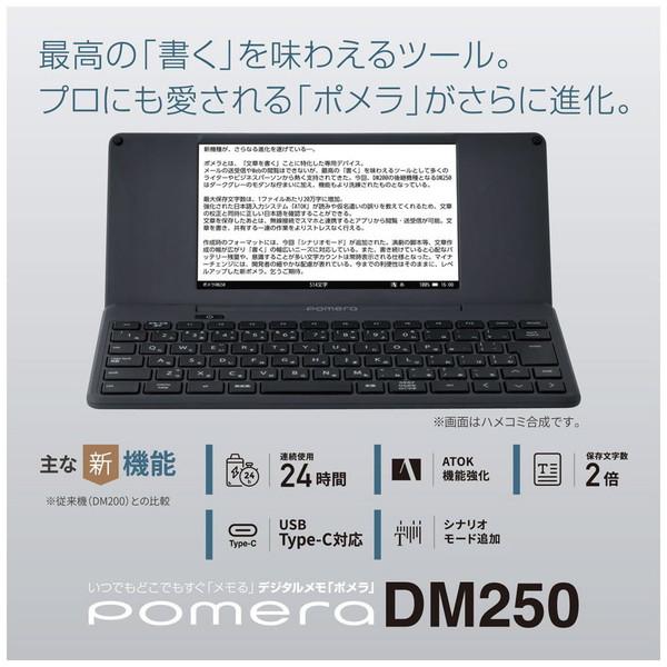 キングジム DM250 デジタルメモ pomera（ポメラ）｜y-sofmap｜02