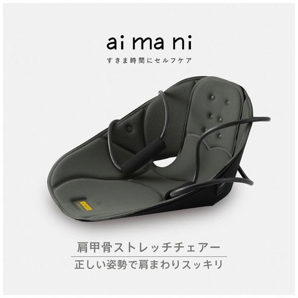 キングジム すきま時間にセルフケア 肩甲骨ストレッチチェアー ai ma ni ディープグリーン AHC020-G | KING JIM | 01