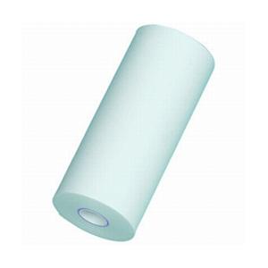 CASIO(カシオ) プリンタ電卓用ロールペーパー（10巻）　P-5825E | CASIO