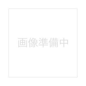 CASIO(カシオ) ネームランド マグネットテープ46mm　XR-46JYW | CASIO