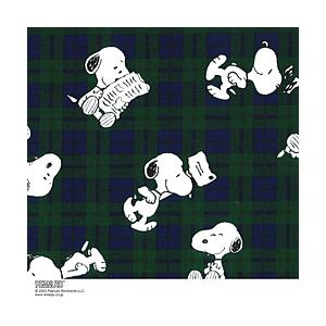 清原 スヌーピー チェック GO1 AJ634353 [振込不可] | 