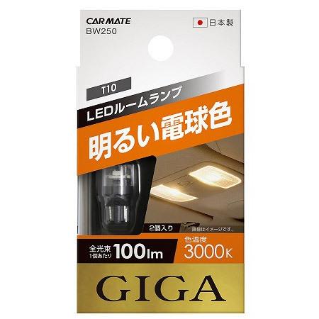 カーメイト BW250 LEDルームR100T　3000K　ホワイト | カーメイト | 01
