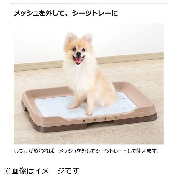 リッチェル お掃除簡単ステップトレーレギュラー（ダークブラウン）［犬用］ | リッチェル | 05