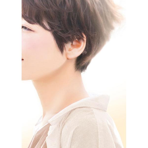 ササガワ ハンドメイドアクセサリー撮影着画作成キット（ピアス）ナチュラルモデルフォト   37-5003 |  | 04