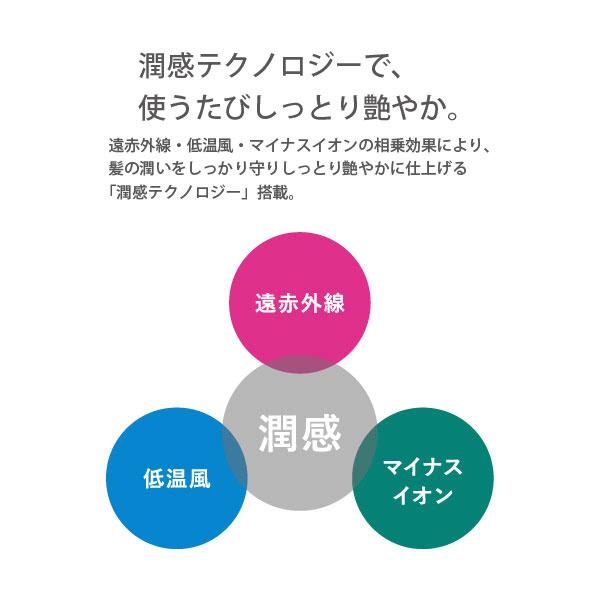 VENUSIS 遠赤イオンドライヤー VENUSiS（ヴィナシス） グレー VDC-5100-H |  | 17