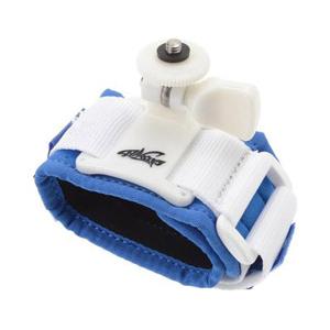 ETSUMI シャークリップ　Mサイズ（ブルー）　E-6563 | ETSUMI