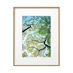 ハクバ ZEROフレーム G-01 A4 ナチュラル　FZG01A4NT [振込不可] | HAKUBA